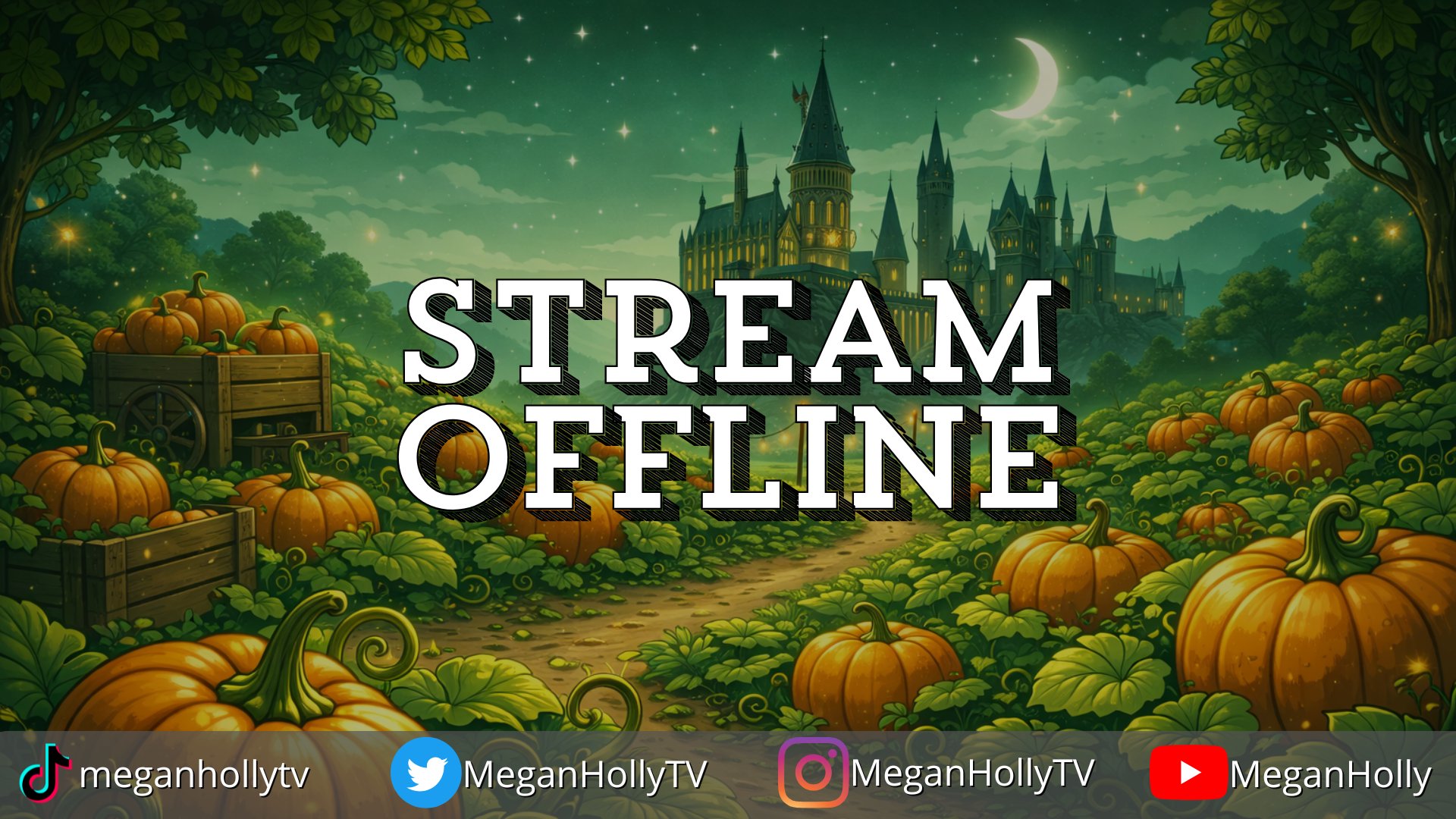 MeganHolly Offline Background