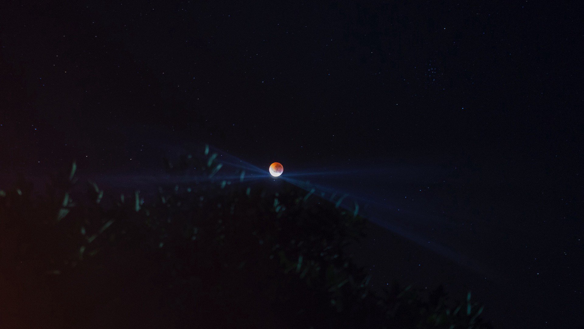 zanderfps Offline Background