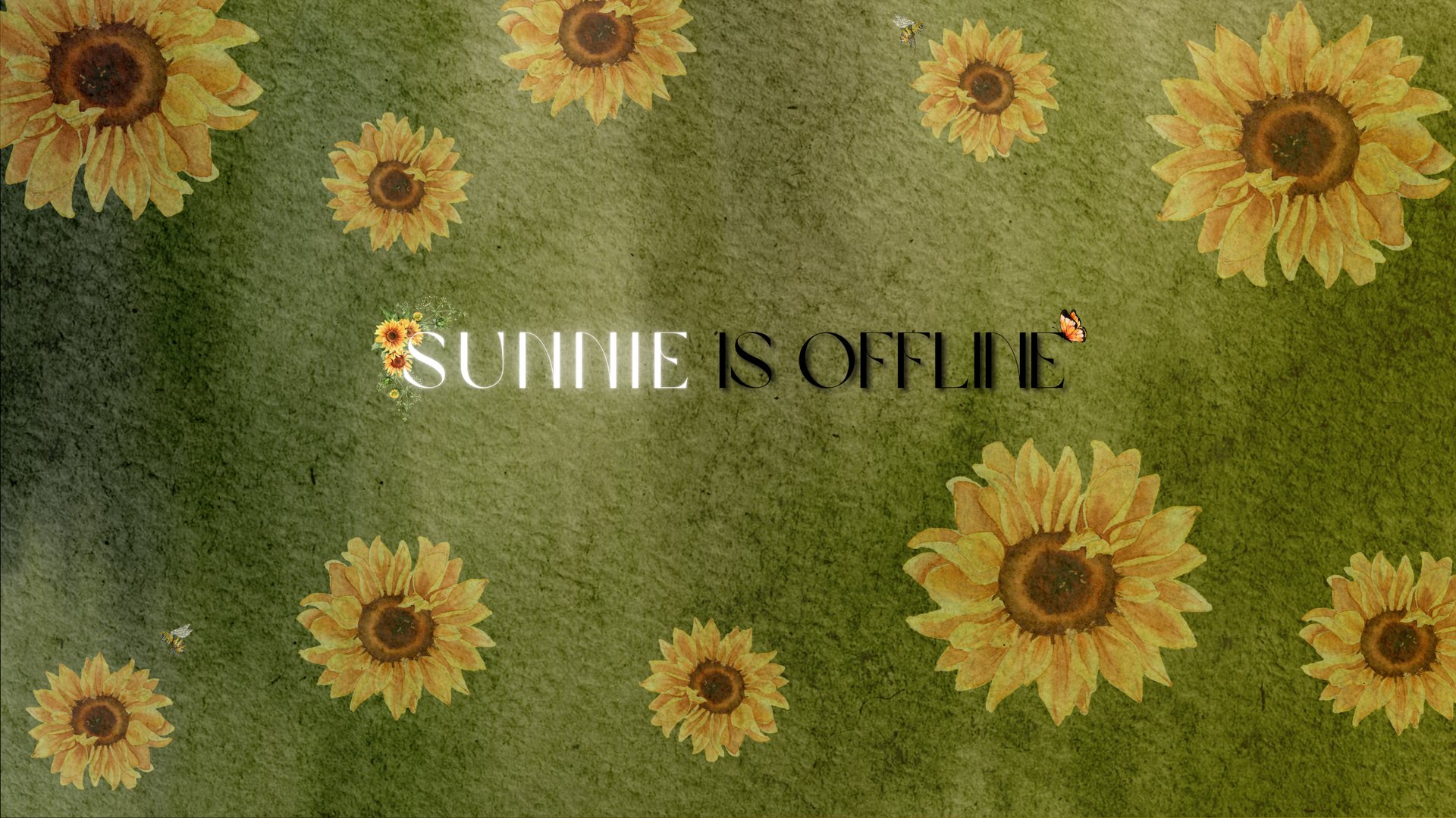 SunnieKnights Offline Background