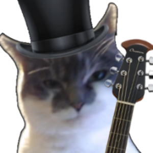 nitekastguitar