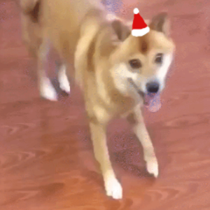chickenrules10