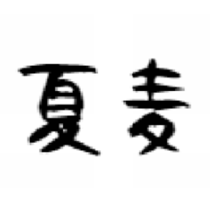 夏麦缶
