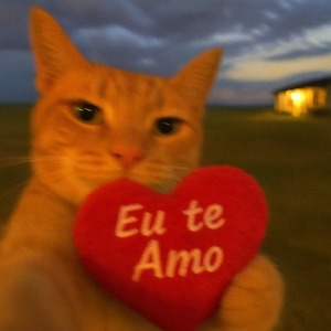 mesquita_ultimo_beta