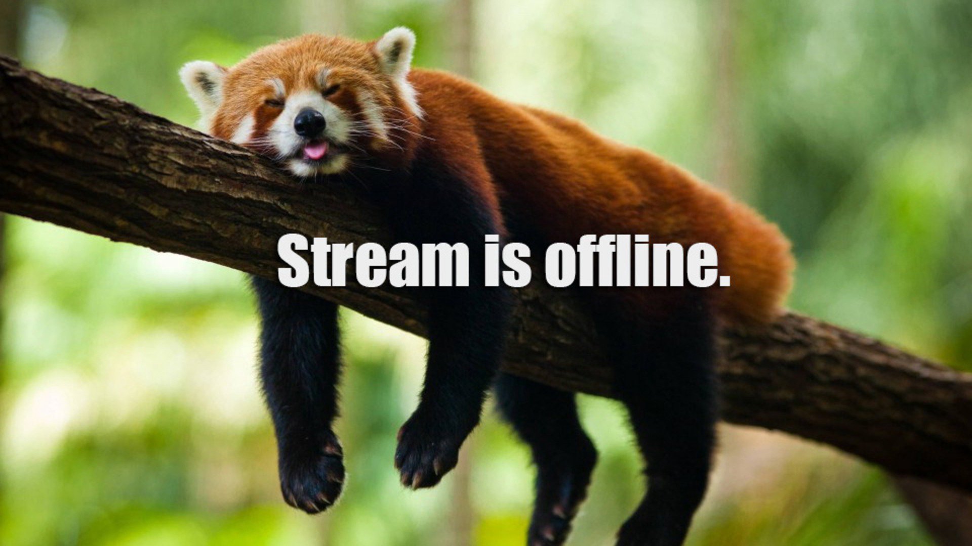 PovertyPing Offline Background