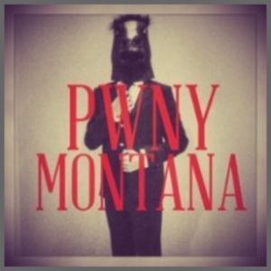 Pwny