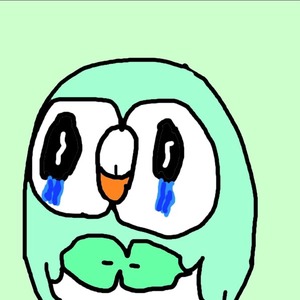 Petit_Shiny