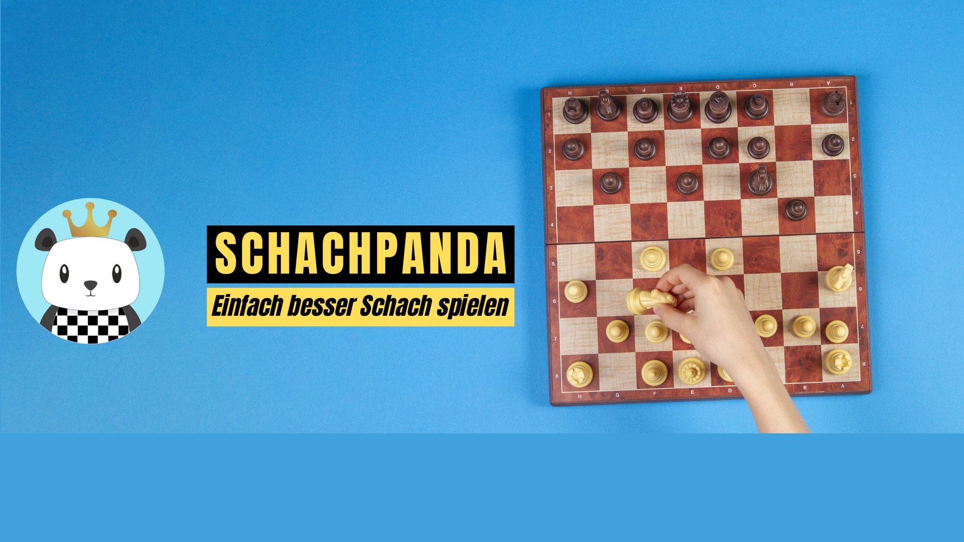 schachpanda Offline Background