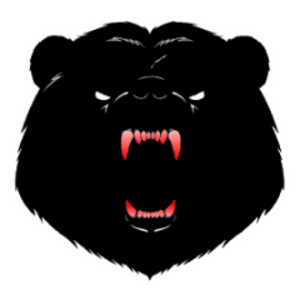 Bear989
