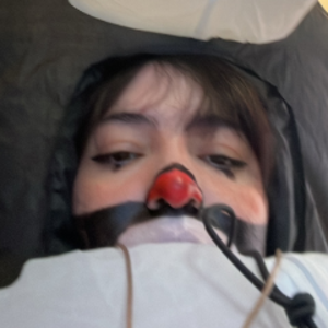 iPaoliss