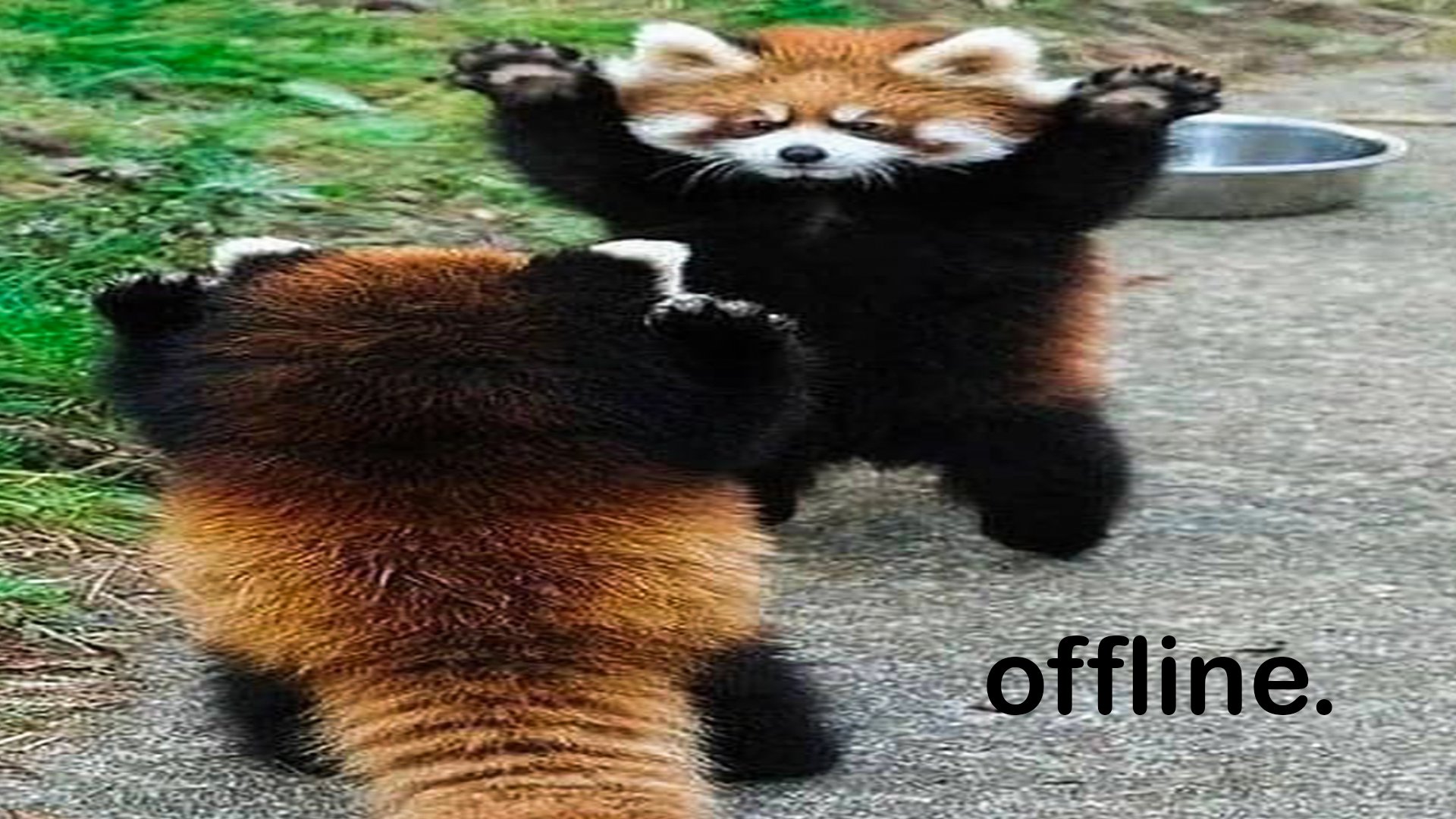 DanteZupp Offline Background