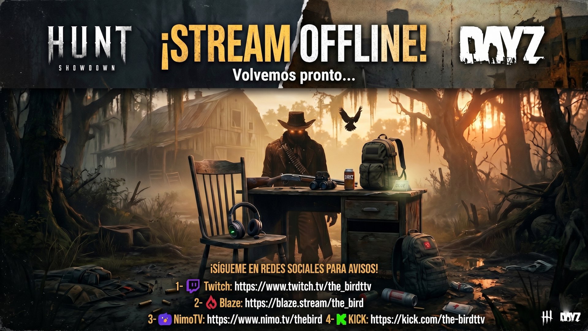 the_birdttv Offline Background