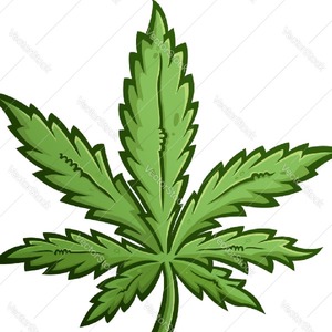 mellow_matey420