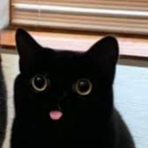 foogatti