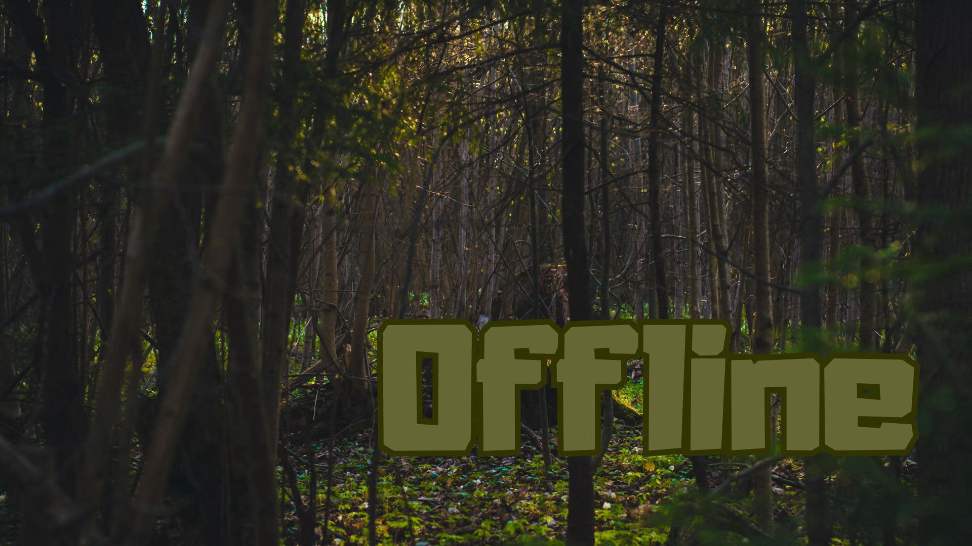 the_dzikk Offline Background
