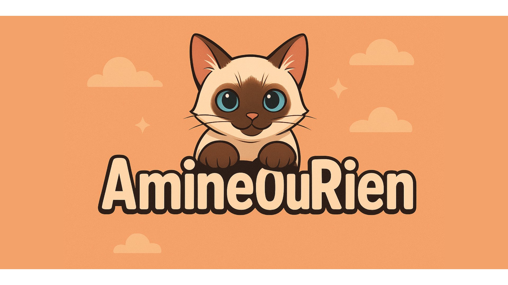AmineOuRien Offline Background