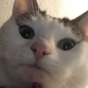 Chunk3y
