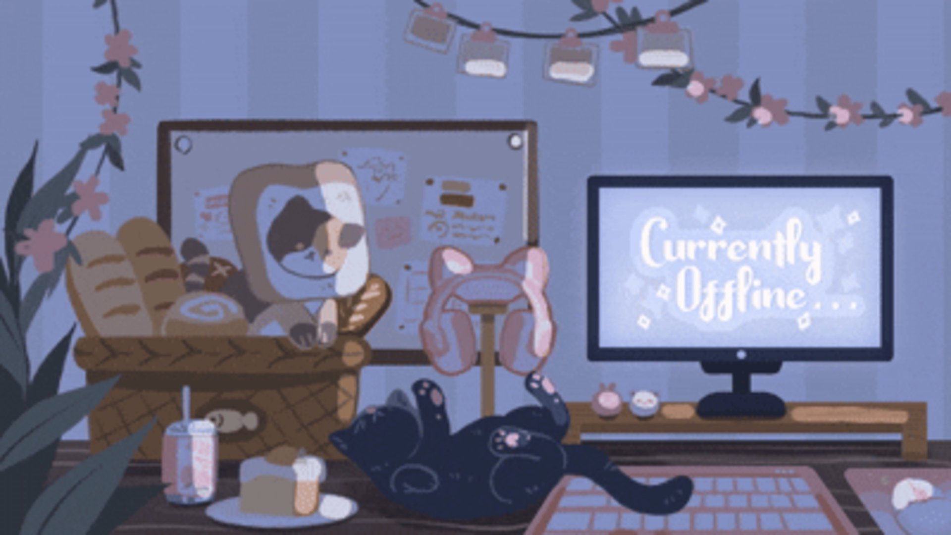 ScaredyKatGamingLive Offline Background