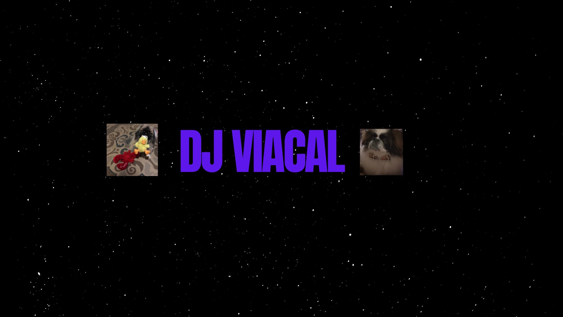 DJViacal Offline Background