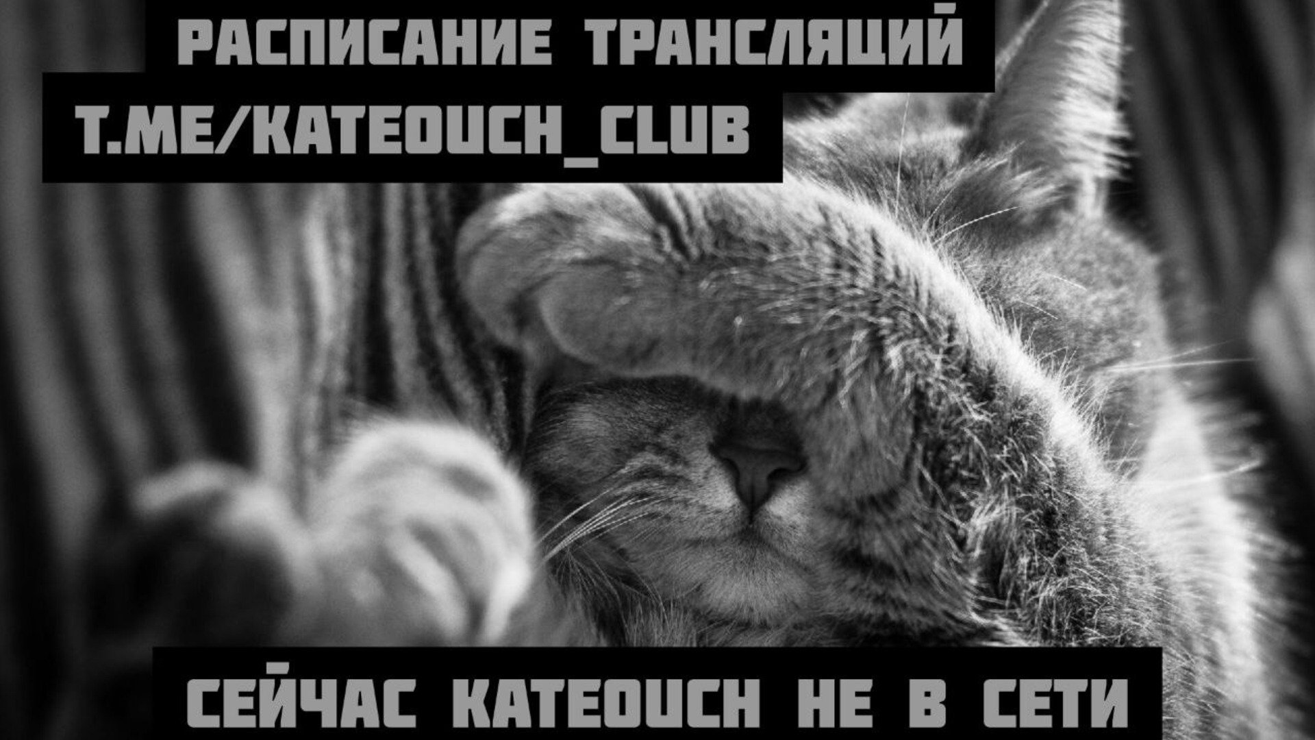 Kateouch Offline Background
