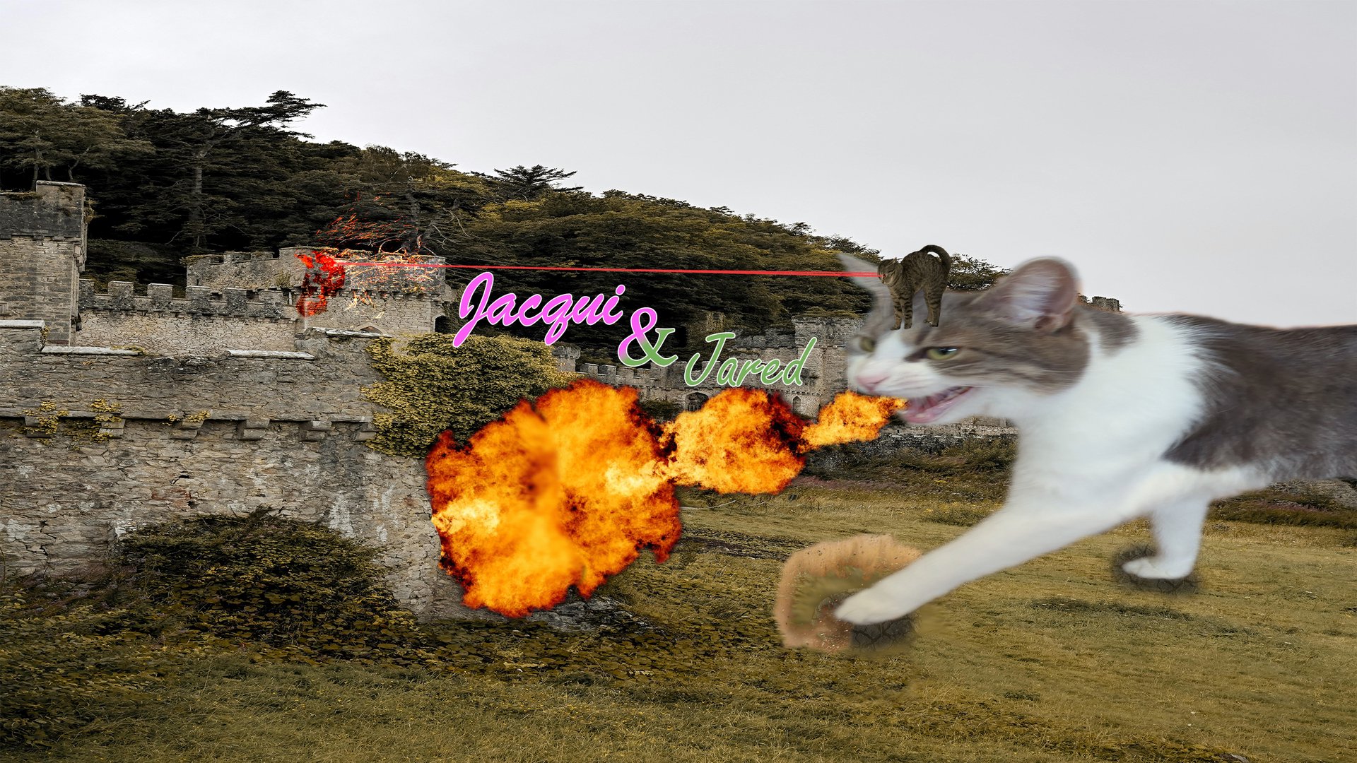 jacquiandjared Offline Background