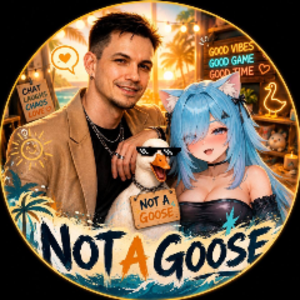 not_a_gooose