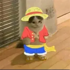 xleoisweirdx