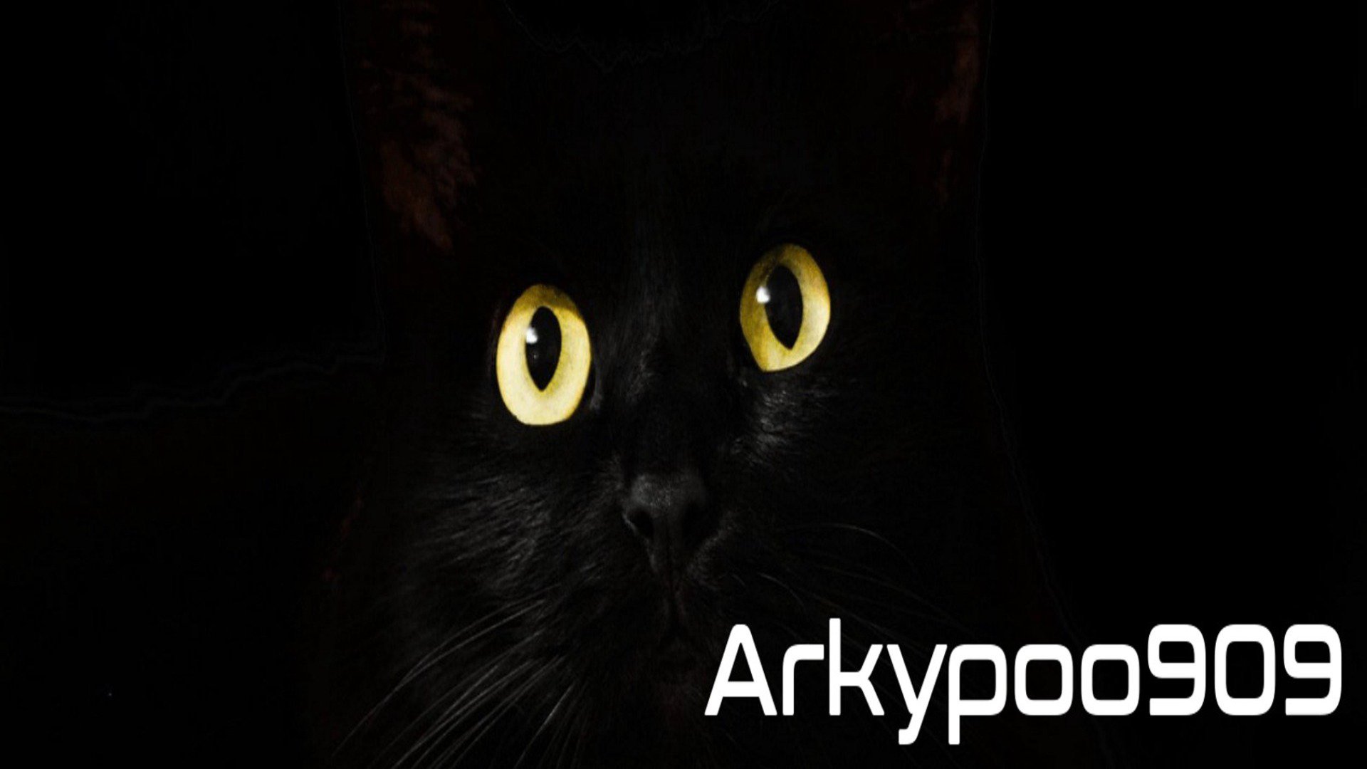 Arkypoo909 Offline Background