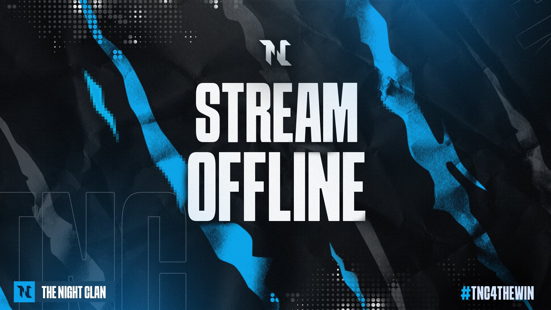 TNCesport Offline Background