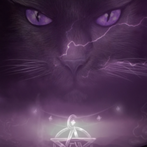 killercat15289