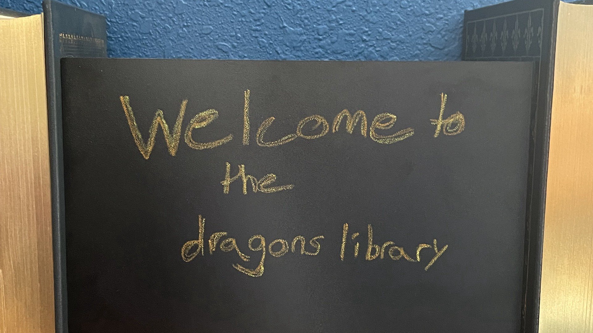 TheLibrarysDragon Offline Background