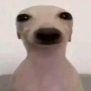 AkaHolguin