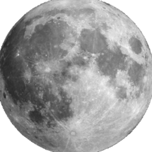 thedyingmoon2882