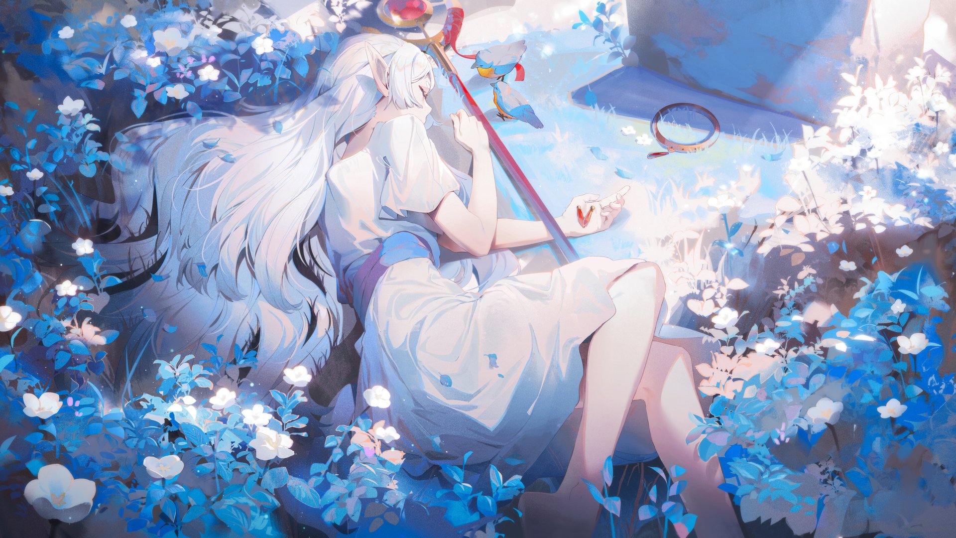 海豹謙 Offline Background