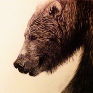 TheTrueGrizzly