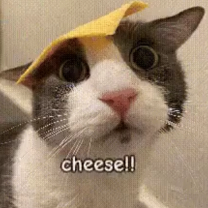 gd_savorybaconbits