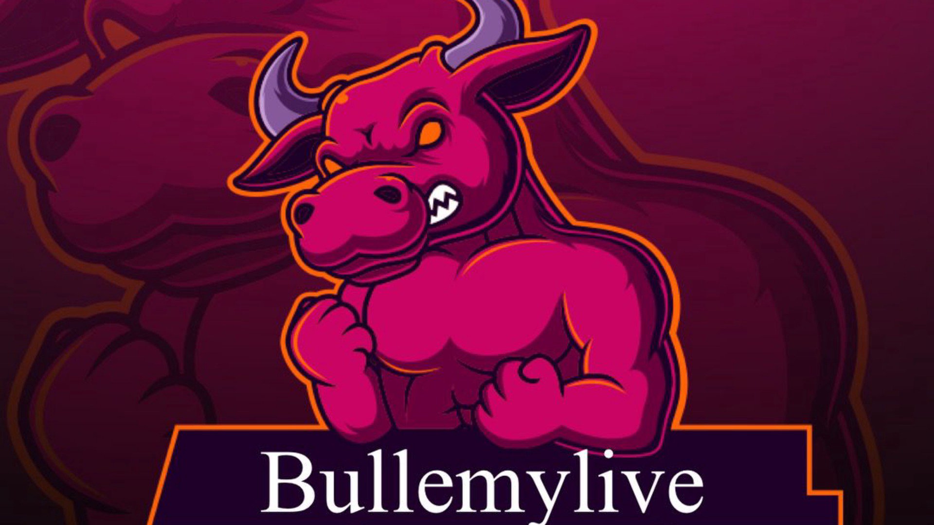 Bullemylive Offline Background
