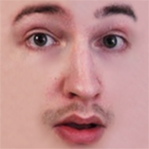 Rotpilz