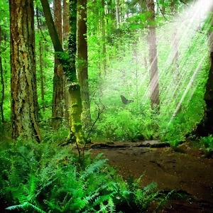 GreenGal_801