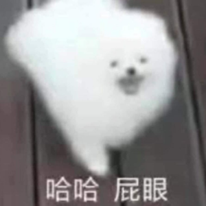 哈哈博美ハハポメ