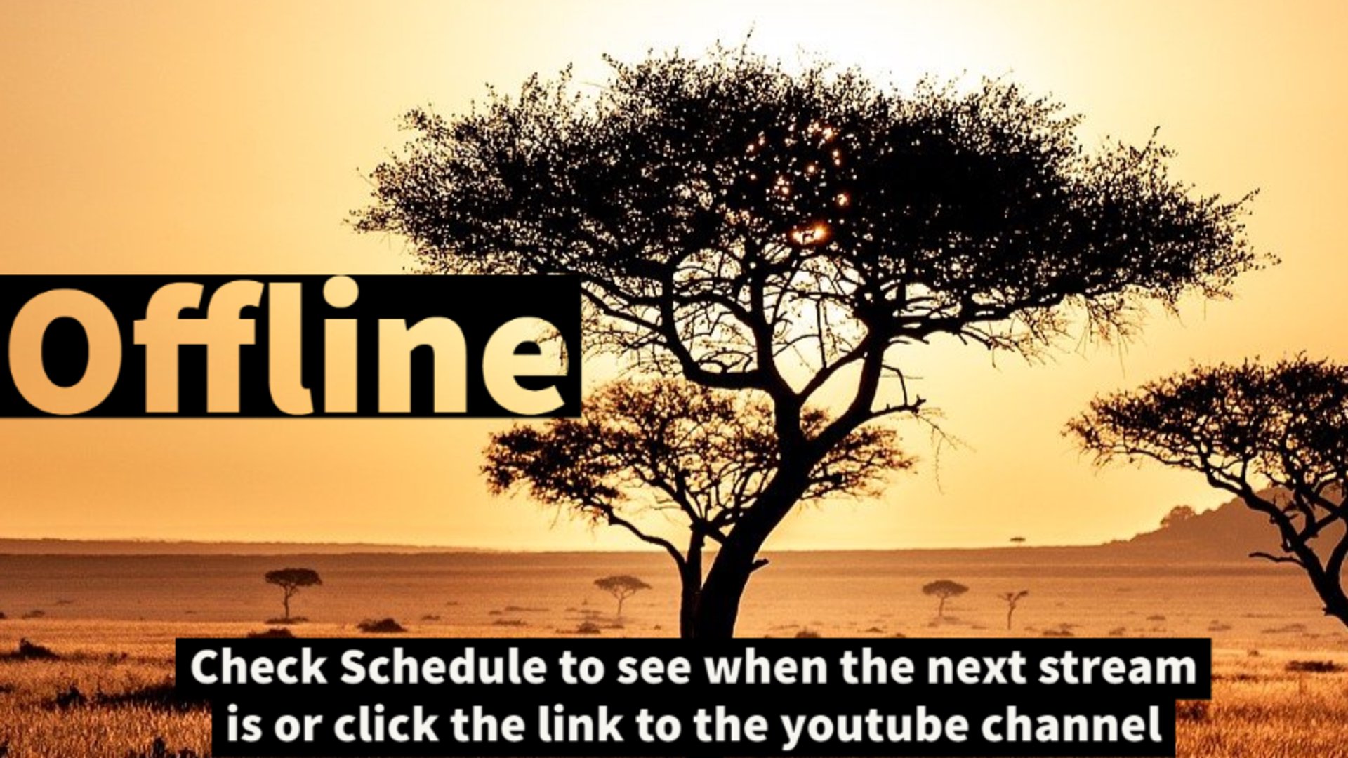 Im_Neolin Offline Background