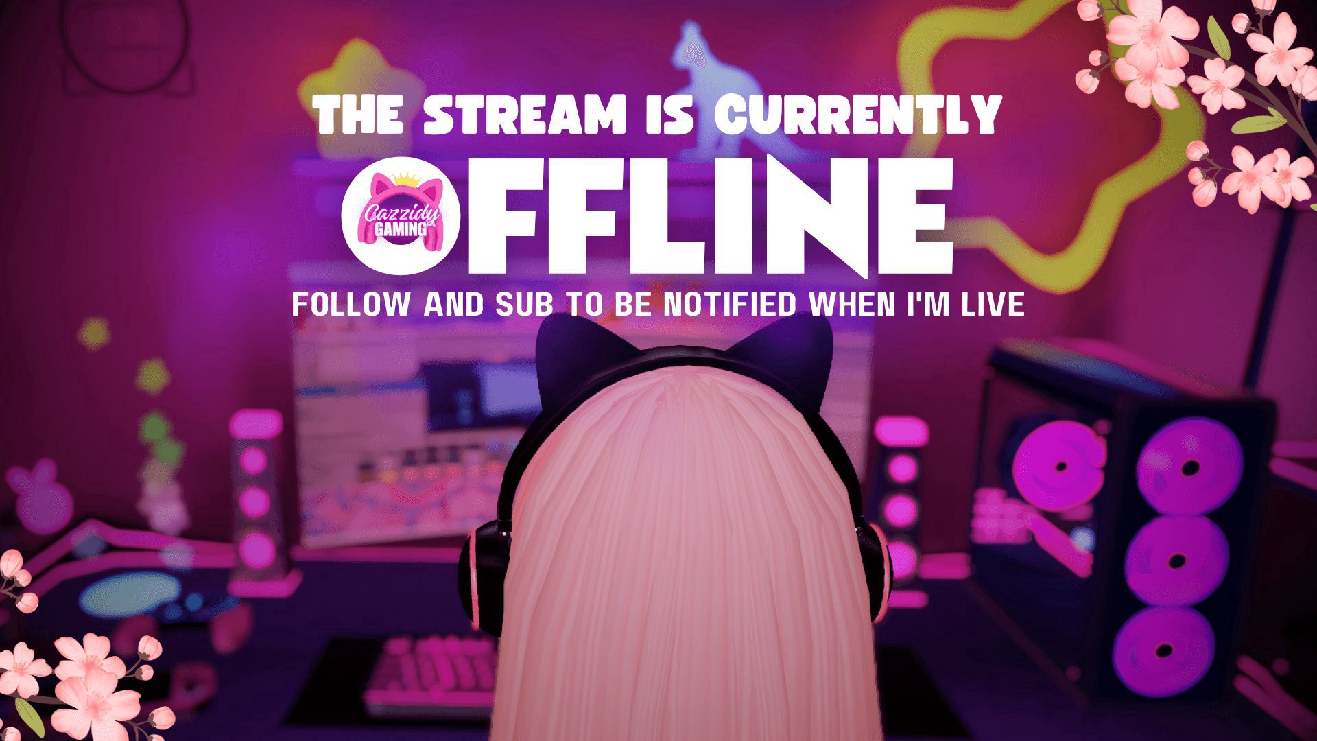 CazzidyGaming Offline Background