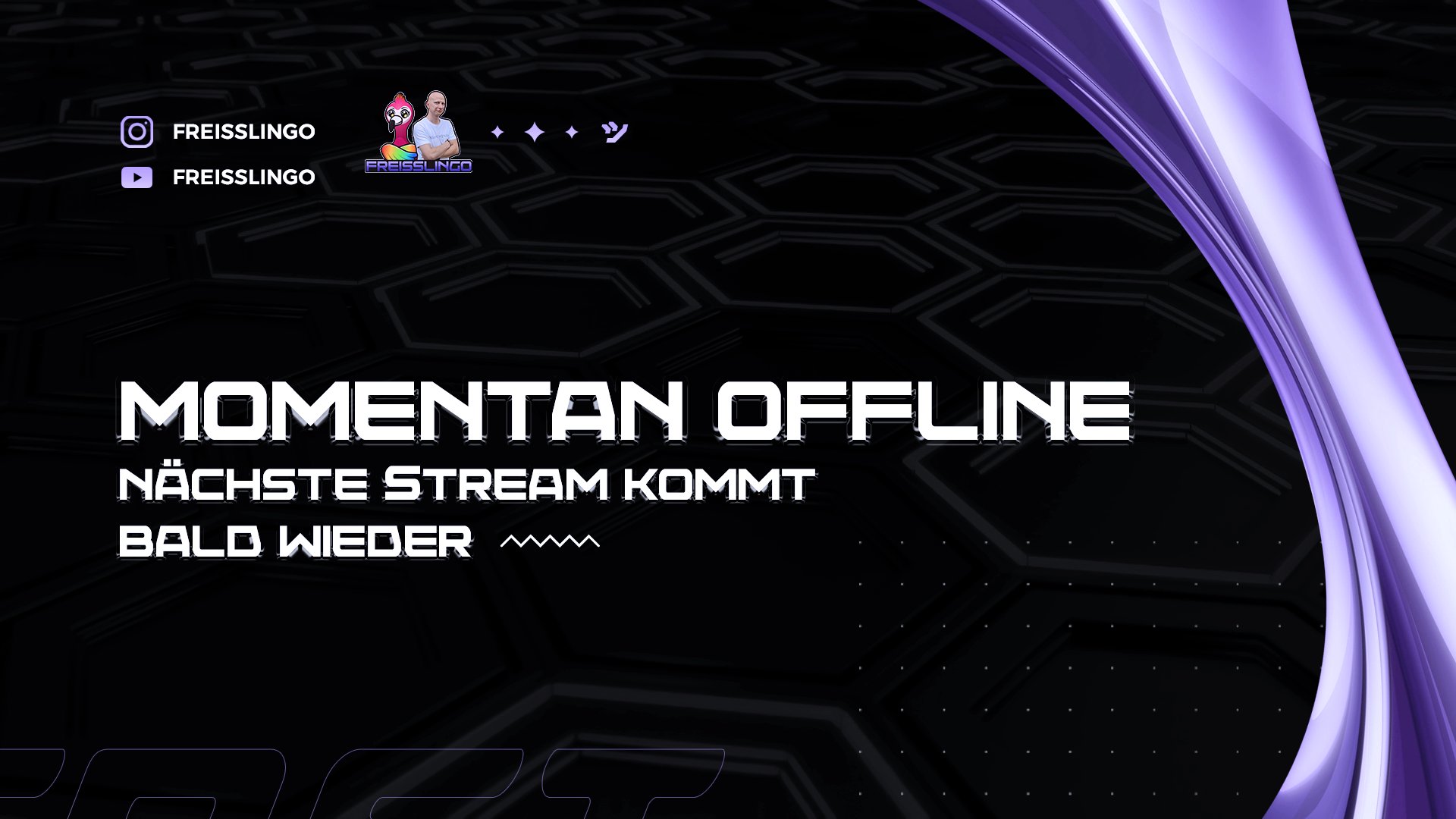 Freisslingo Offline Background