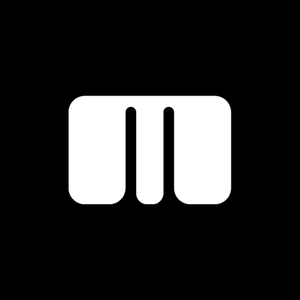 MiSHgUN333