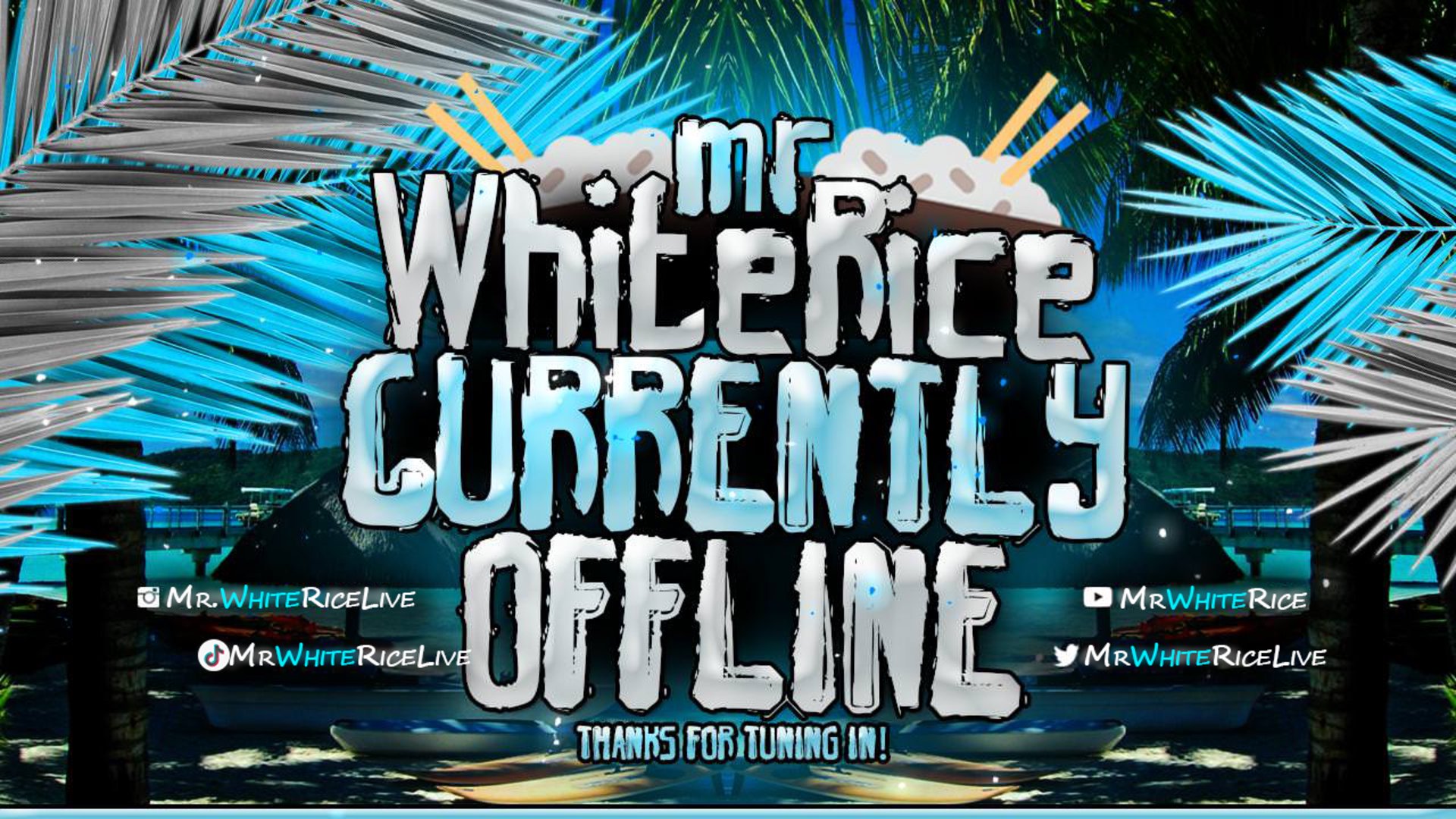 MrWhiteRiceLive Offline Background