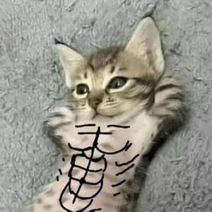 iiiyeet