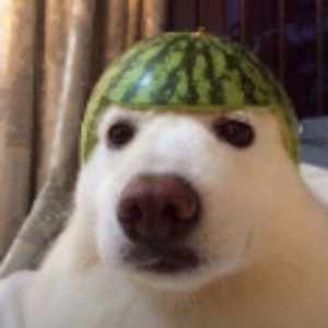 Tobo