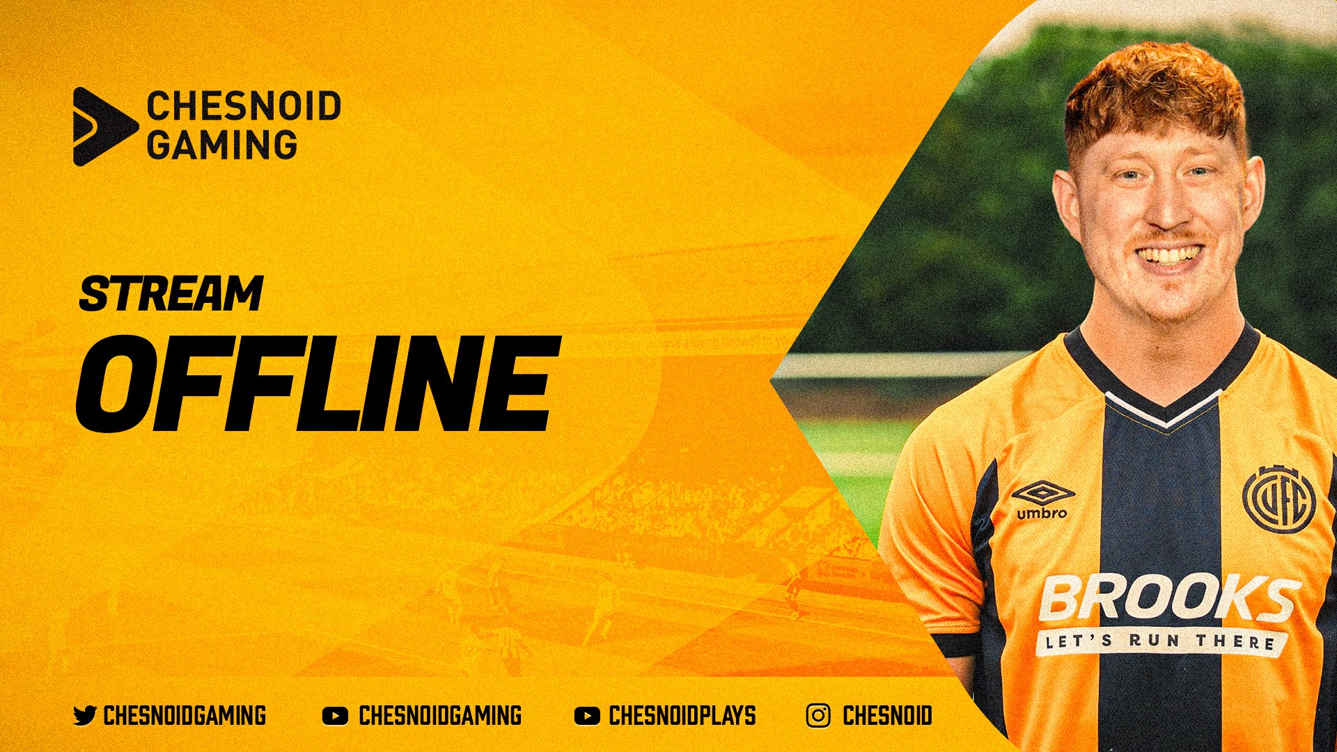 ChesnoidGaming Offline Background