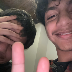 donbookstreamssss