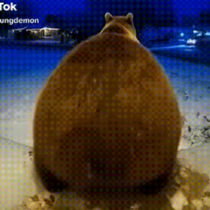 FrostyBeear