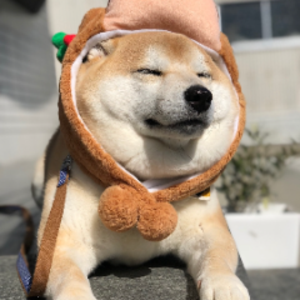 大老爺